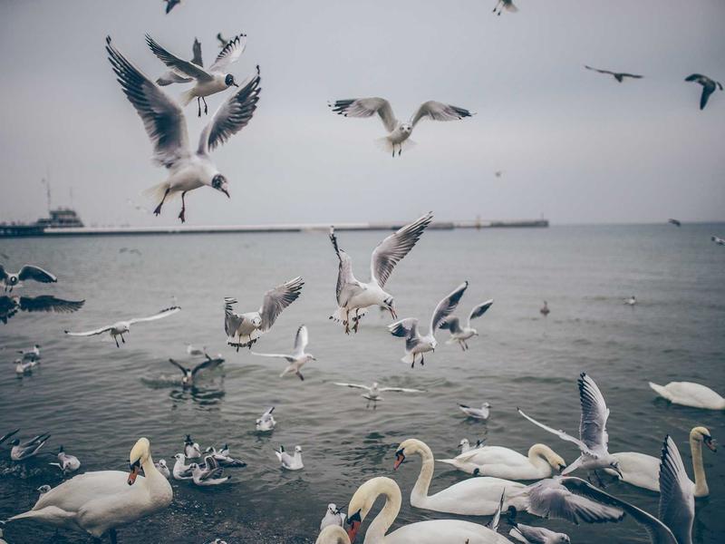 sudoku senior friendly screenshot 2